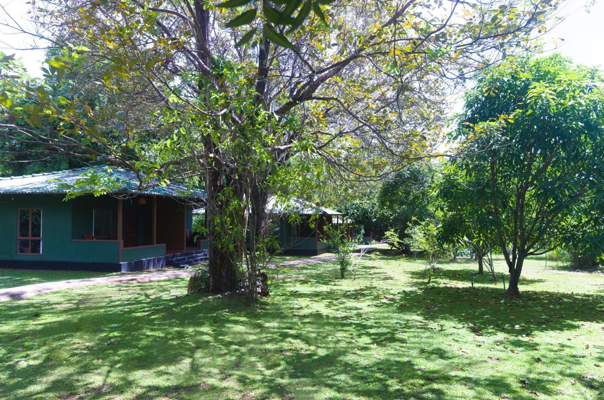 Pinthaliya Resort Sigiriya Exterior foto