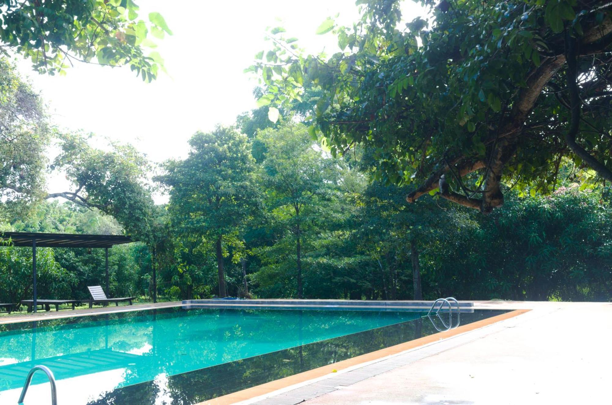 Pinthaliya Resort Sigiriya Exterior foto