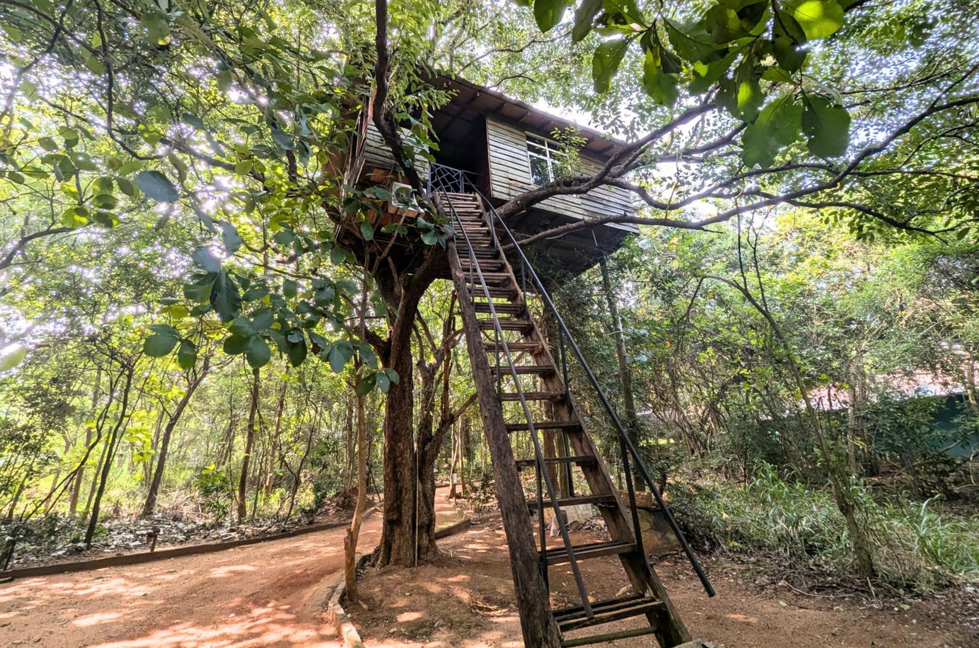 Pinthaliya Resort Sigiriya Exterior foto